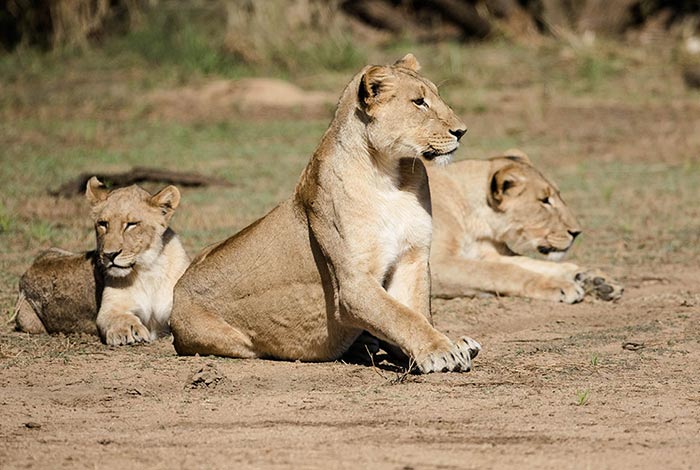 Yksityiset opastetut safarit 4x4 opastetut matkat Namibiassa