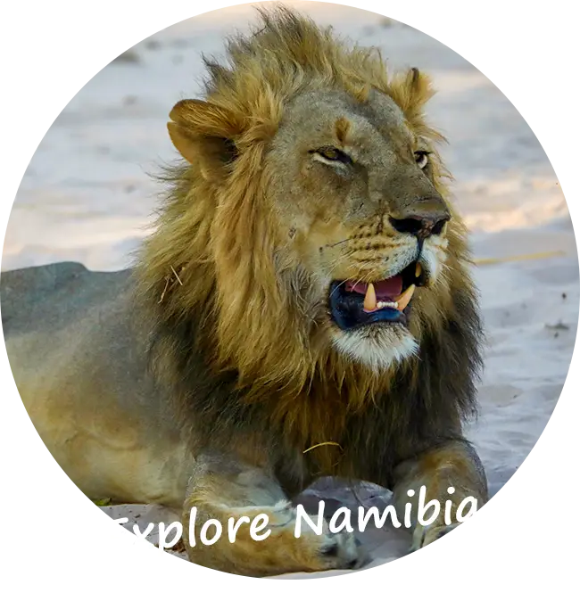 Explore-Namibia-Takuujärjestelmä ja hätärahasto
