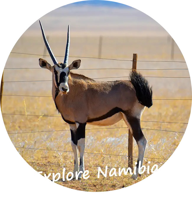 Tutustu Namibiaan ja ota meihin yhteyttä