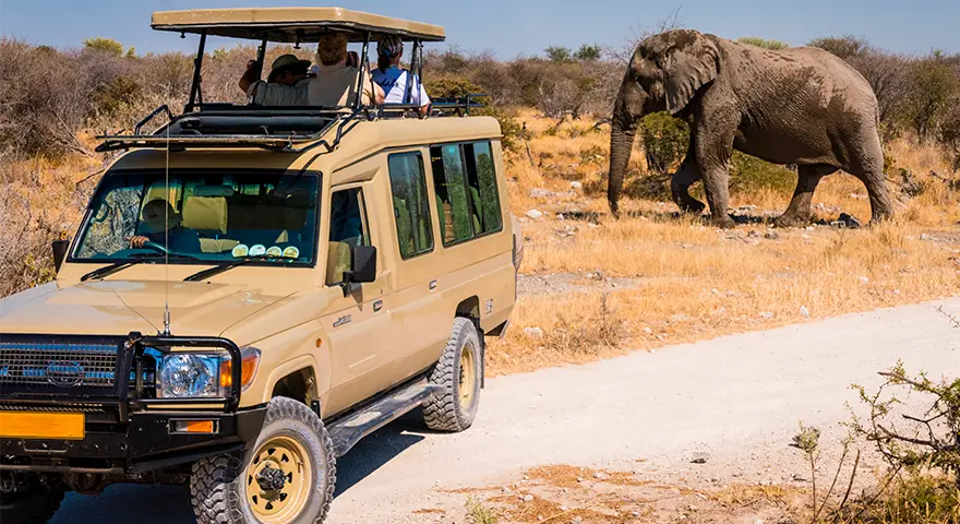 Namibiassa Opastetut yksityiset safarimatkat venytetyssä Land Cruiserissa