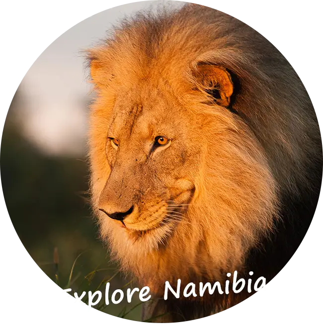 Itseajettavat Kiertomatkat Namibiassa-Namibialaista Inspiraatiota