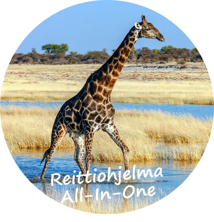 Itseajettavia-safarimatkoja-Namibiassa-Reittiohjelma-All-In-One