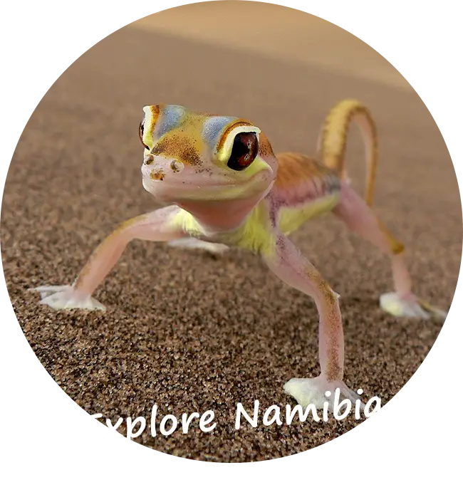 Asiakaspalaute Explore Namibia