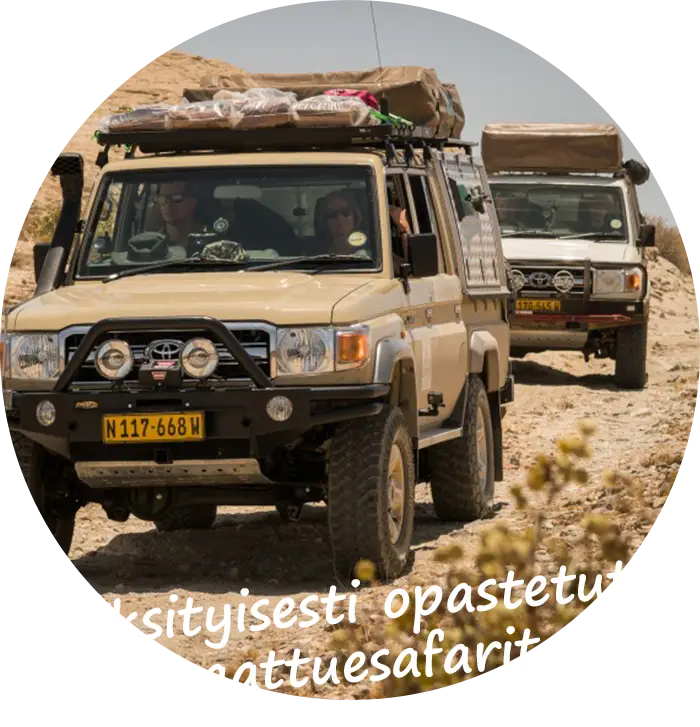 Yksityisesti opastetut saattuesafarit Namibiassa
