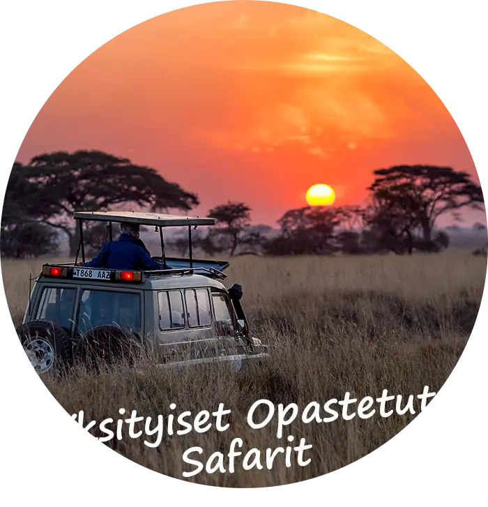 Yksityiset opastetut safarit-Safarimatka-pidennetyssä-Landcruiserissa
