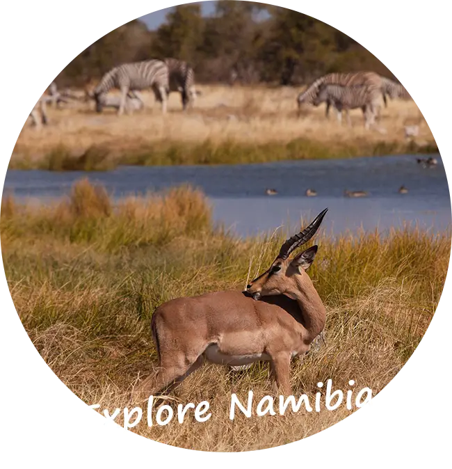 Namibia-Self-Drive-Safari-Client-Feedback-Reviews-Explore-Namibia-05