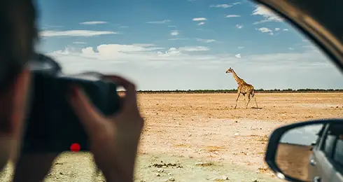 Valokuvausmatka Wild Namibia 