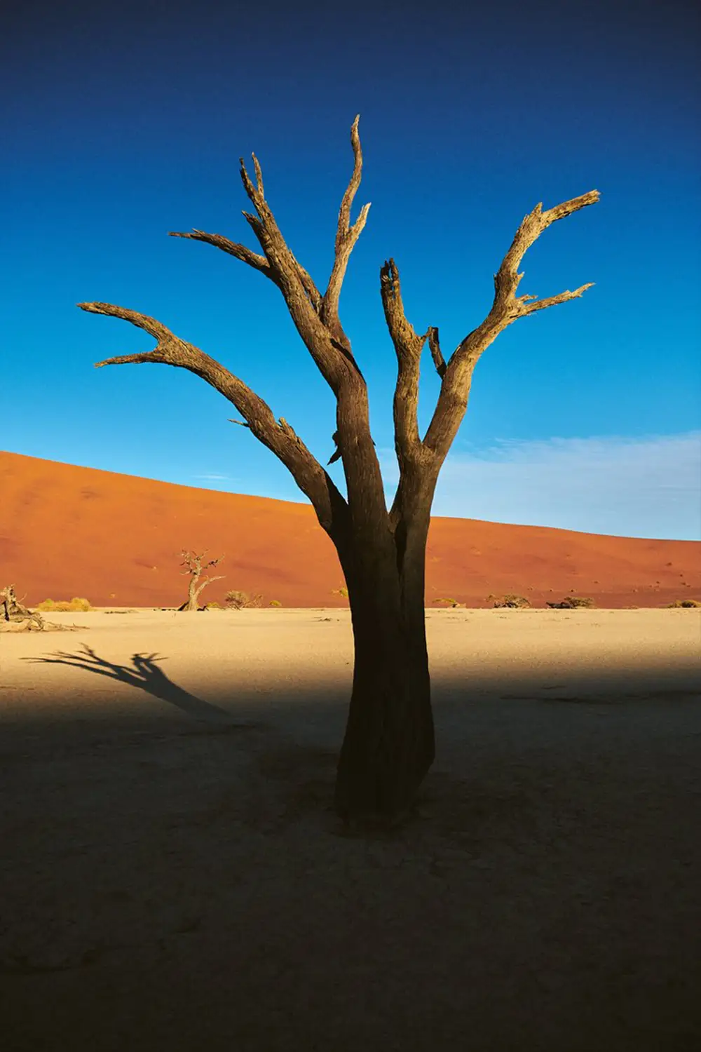 Sossusvlei ja Deadvlei