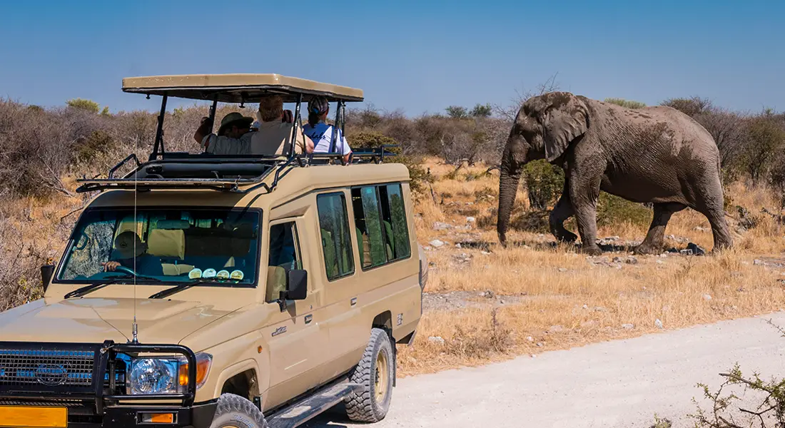 Namibia Safari Pidennetyssä Landcruiserissa