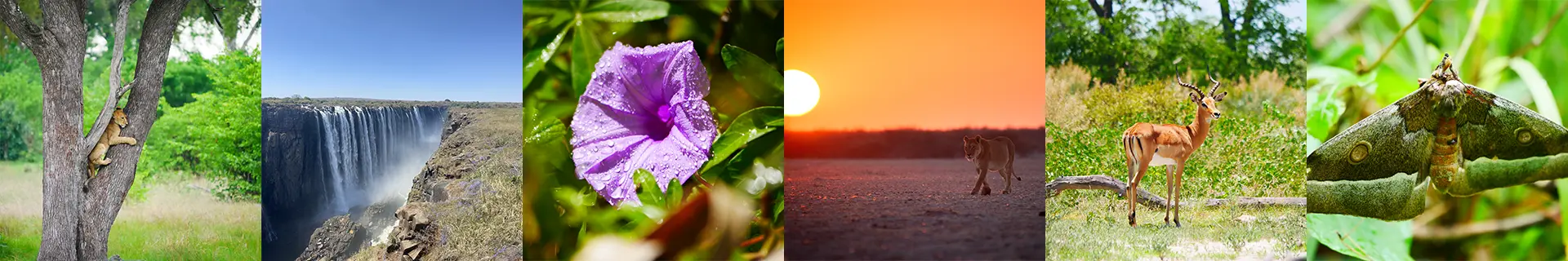 Namibia Private Safari Convoy Botswana Tour-Travel Advice