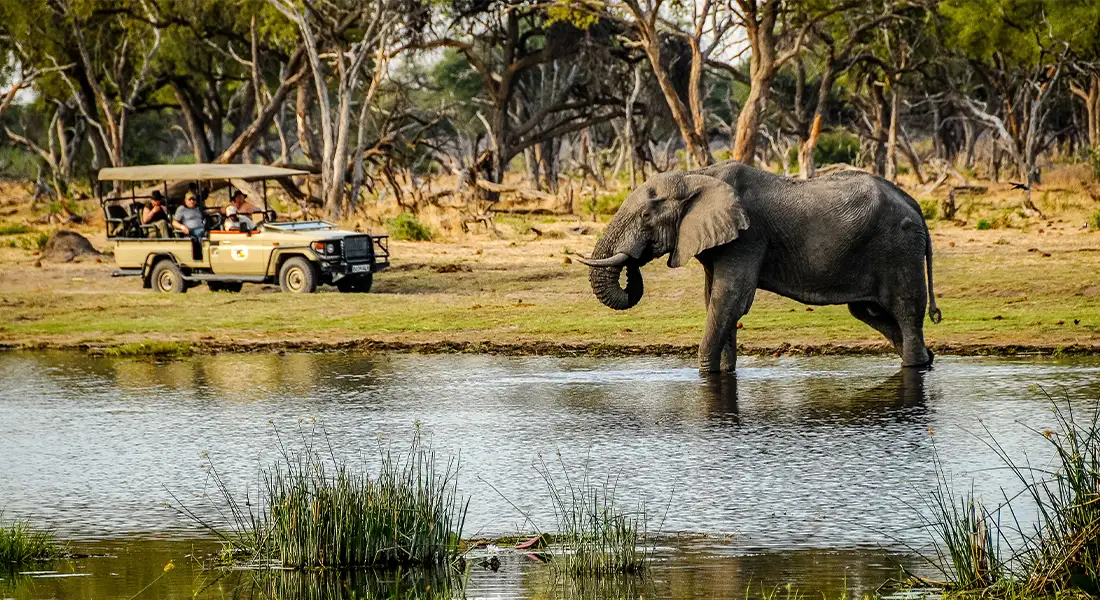 Opastettu Botswana Offroad -matka