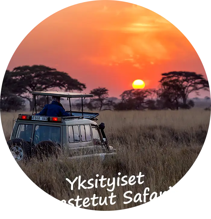 Namibia Yksityiset Opastetut Safarit